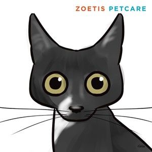 Meet your Posher, Carissa